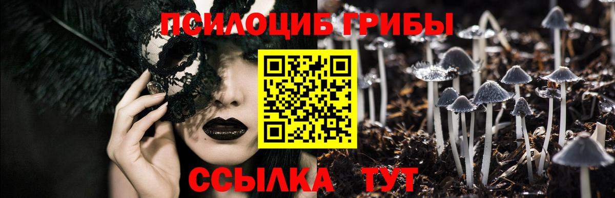 купить наркотик  Галлюциногенные грибы прущие грибы  Галлюциногенные грибы мухоморы  Вход с VPN  Севастополь 